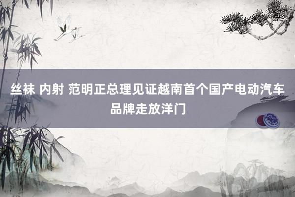 丝袜 内射 范明正总理见证越南首个国产电动汽车品牌走放洋门