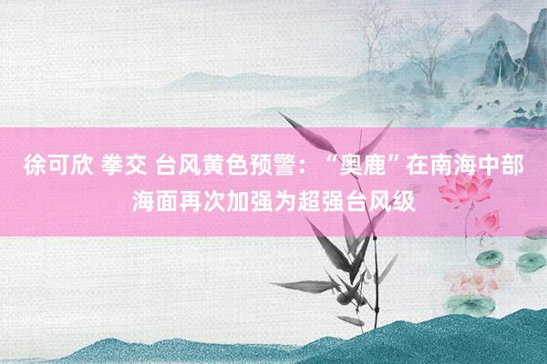 徐可欣 拳交 台风黄色预警：“奥鹿”在南海中部海面再次加强为超强台风级