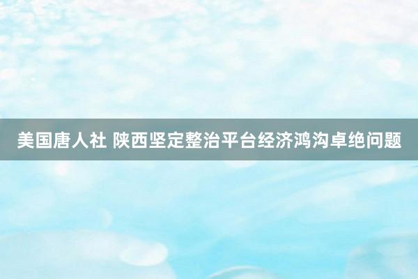 美国唐人社 陕西坚定整治平台经济鸿沟卓绝问题