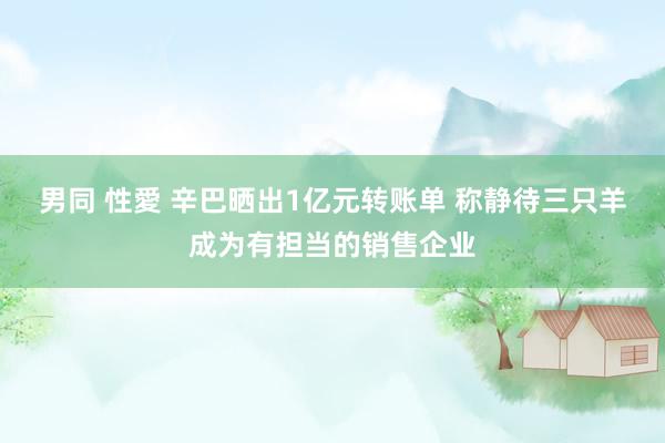 男同 性愛 辛巴晒出1亿元转账单 称静待三只羊成为有担当的销售企业