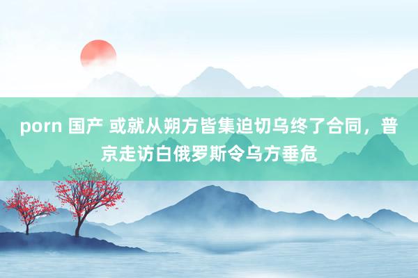 porn 国产 或就从朔方皆集迫切乌终了合同，普京走访白俄罗斯令乌方垂危
