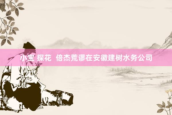小宝 探花  倍杰荒谬在安徽建树水务公司