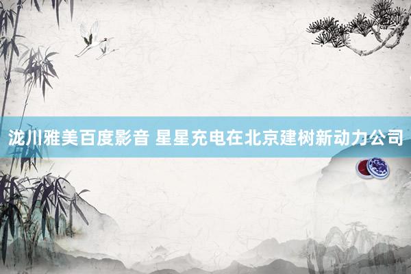 泷川雅美百度影音 星星充电在北京建树新动力公司