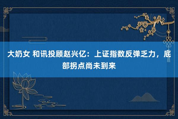 大奶女 和讯投顾赵兴亿：上证指数反弹乏力，底部拐点尚未到来