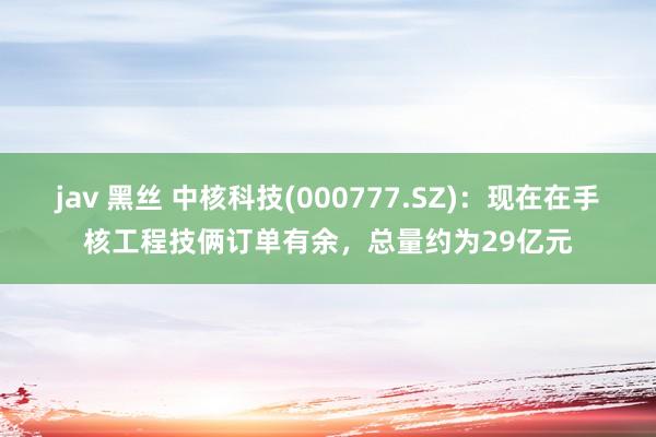 jav 黑丝 中核科技(000777.SZ)：现在在手核工程技俩订单有余，总量约为29亿元