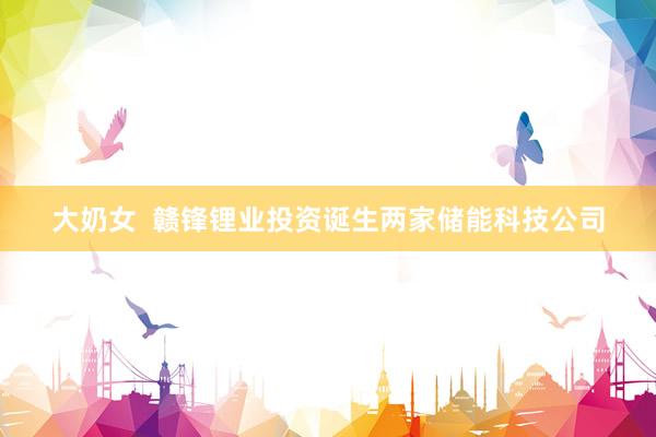 大奶女  赣锋锂业投资诞生两家储能科技公司